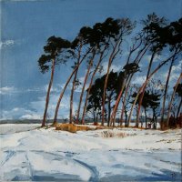 261a Bor u Stratova.jpg